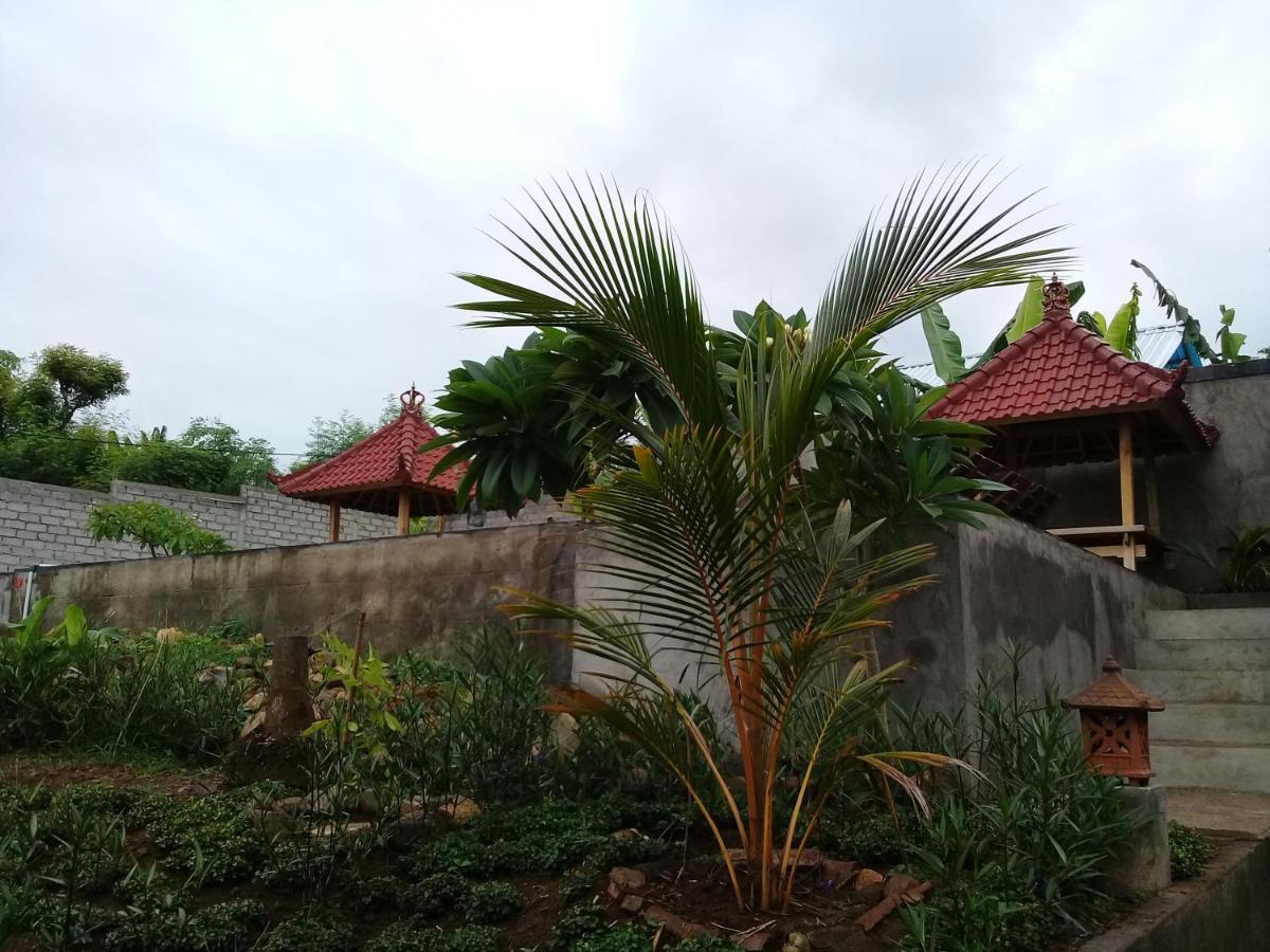 Eliska Sari Bungalows Sumberkima Pemuteran Kültér fotó