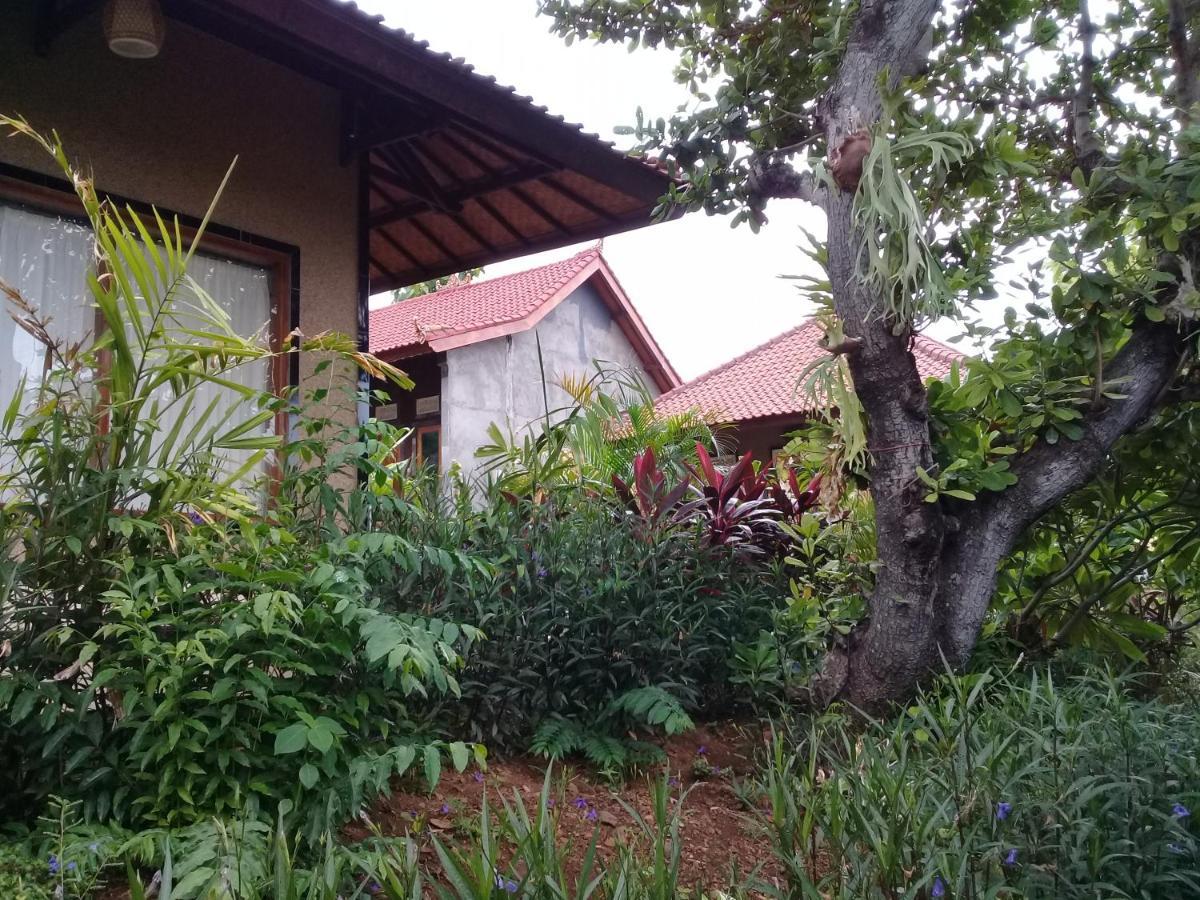 Eliska Sari Bungalows Sumberkima Pemuteran Kültér fotó